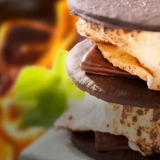 Layers of chocolate wafer cookies, roasted marshmallows & chocolate with sprig of mint and flame in background