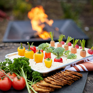 Vegetable patch dip and crackers with duraflame OUTDOOR firelogs burning in a fire pit in the backyard