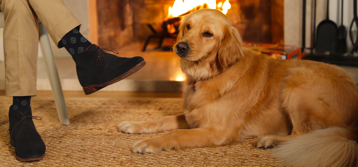 Dog lying in front of fire burning in hearth 