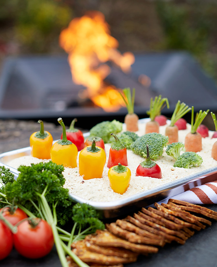 Vegetable patch dip and crackers with duraflame OUTDOOR firelogs burning in a fire pit in the backyard